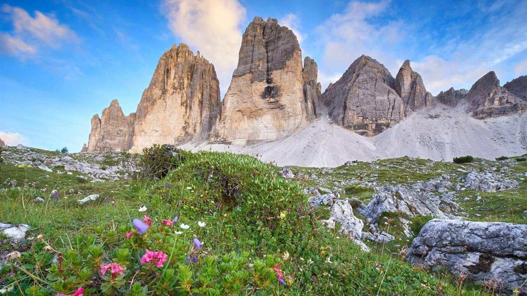 Alpine Deluxe 2.0 Lägenhet Riscone Exteriör bild